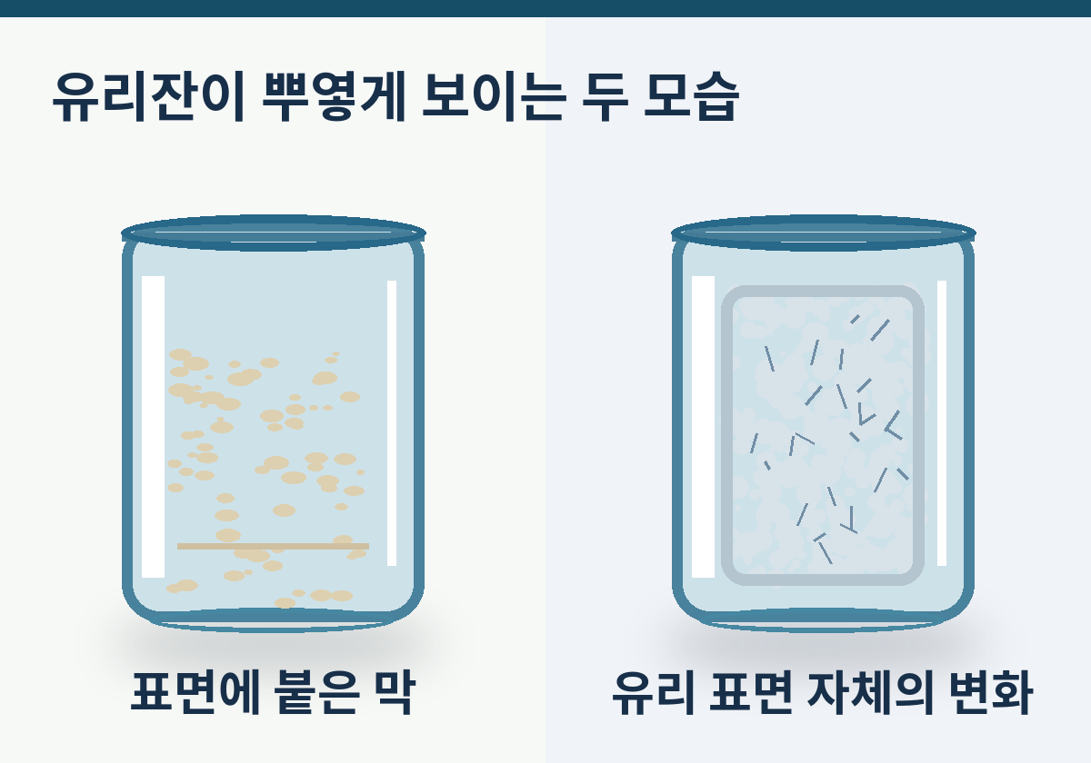 한 컵에는 표면 침전물이 붙고 다른 컵은 유리 면이 뿌옇게 변한 차이